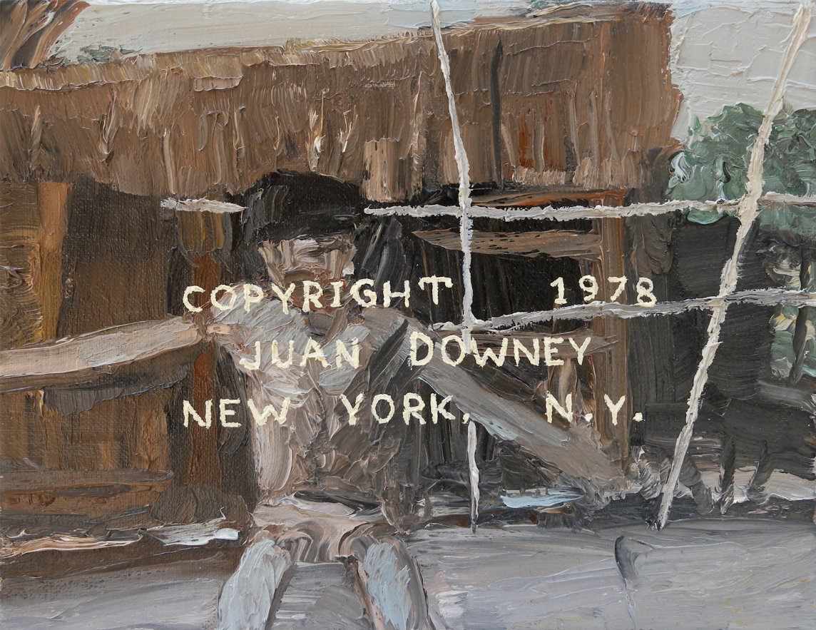 Christian Vinck. Downeyanomami. 2015. Galería Carmen Araujo Arte, Venezuela. 