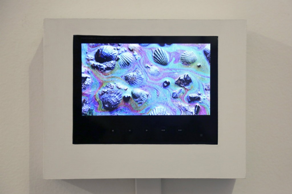 Video con imágenes de animales afectados por tragedias donde se ha derramado petróleo en ríos, lagunas o en el mar. Fotografia: cortesía Blanca Botero.