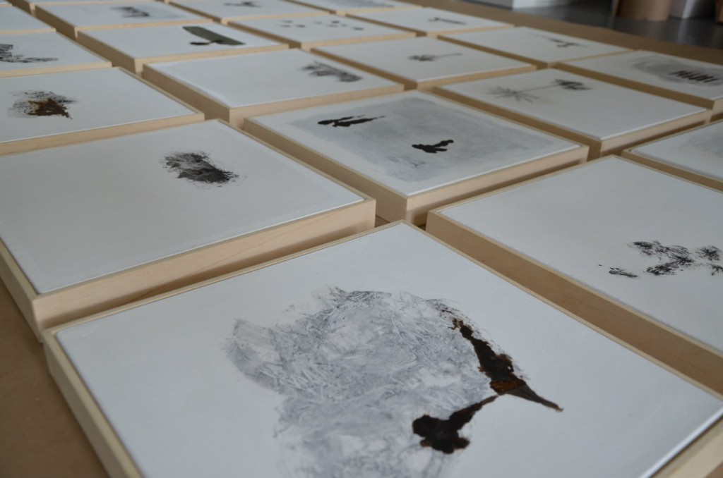 Serie de dibujos de petróleo crudo y pigmento mineral, de 30 x 30 cm. Fotografía: cortesía Blanca Botero.