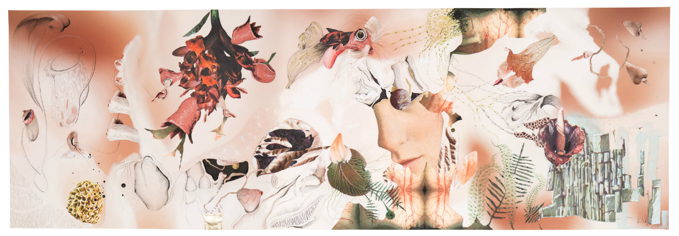 Flora vulgar. Técnica mixta (impresión glicée sobre papel de celulosa, collage, grafito, acuarela y hojilla), 150 x 450 cm. 2016. Fotografía: cortesía, Nueveochenta.