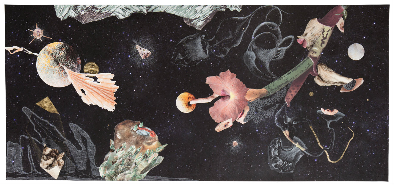 Naturaleza cosmética. Técnica mixta (impresión glicée sobre papel de celulosa, collage, grafito, acuarela y hojilla), 150 x 320 cm. 2016. Fotografía: cortesía, Nueveochenta. 