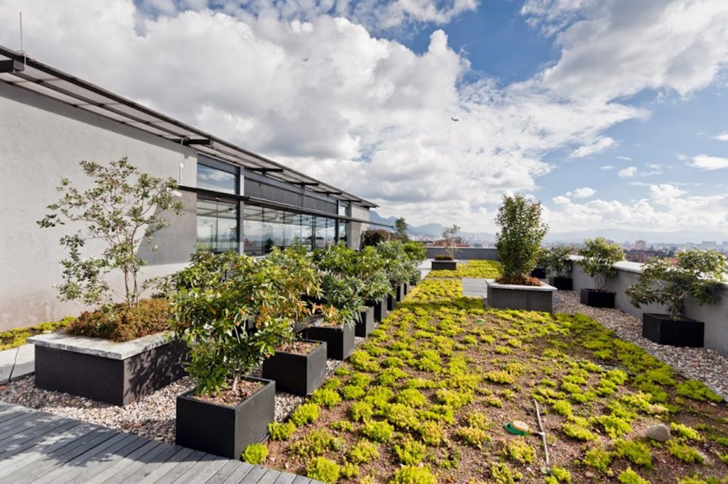 Jardín en terraza de Logic II. Fotografía: cortesía Congreso Mundial de Infraestructura Verde.