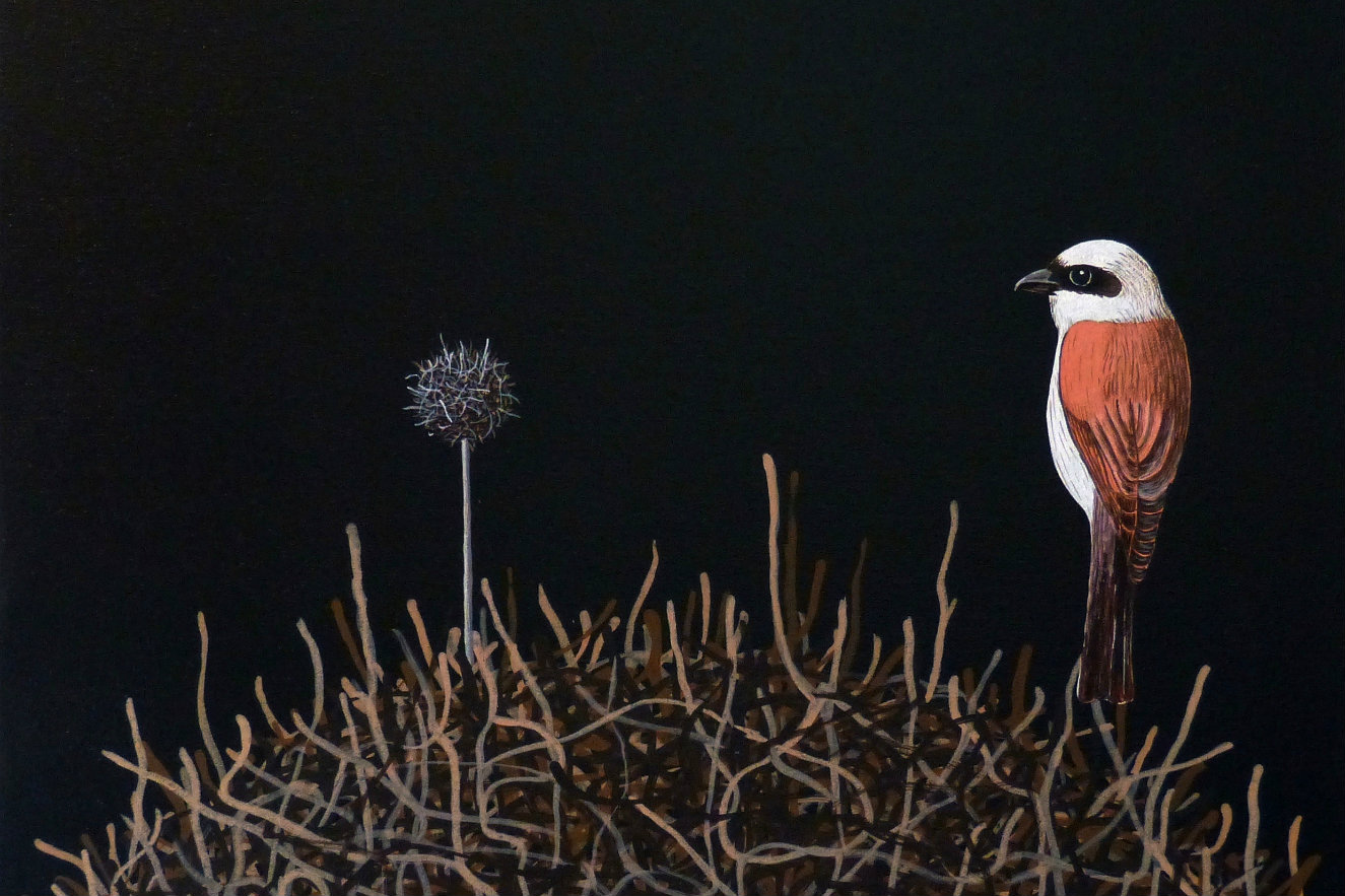 Julián Villadañe, de la serie Los visitantes, acrílico sobre lienso, 50 x 50 cm, 2016. Cortesía, BARCÚ.