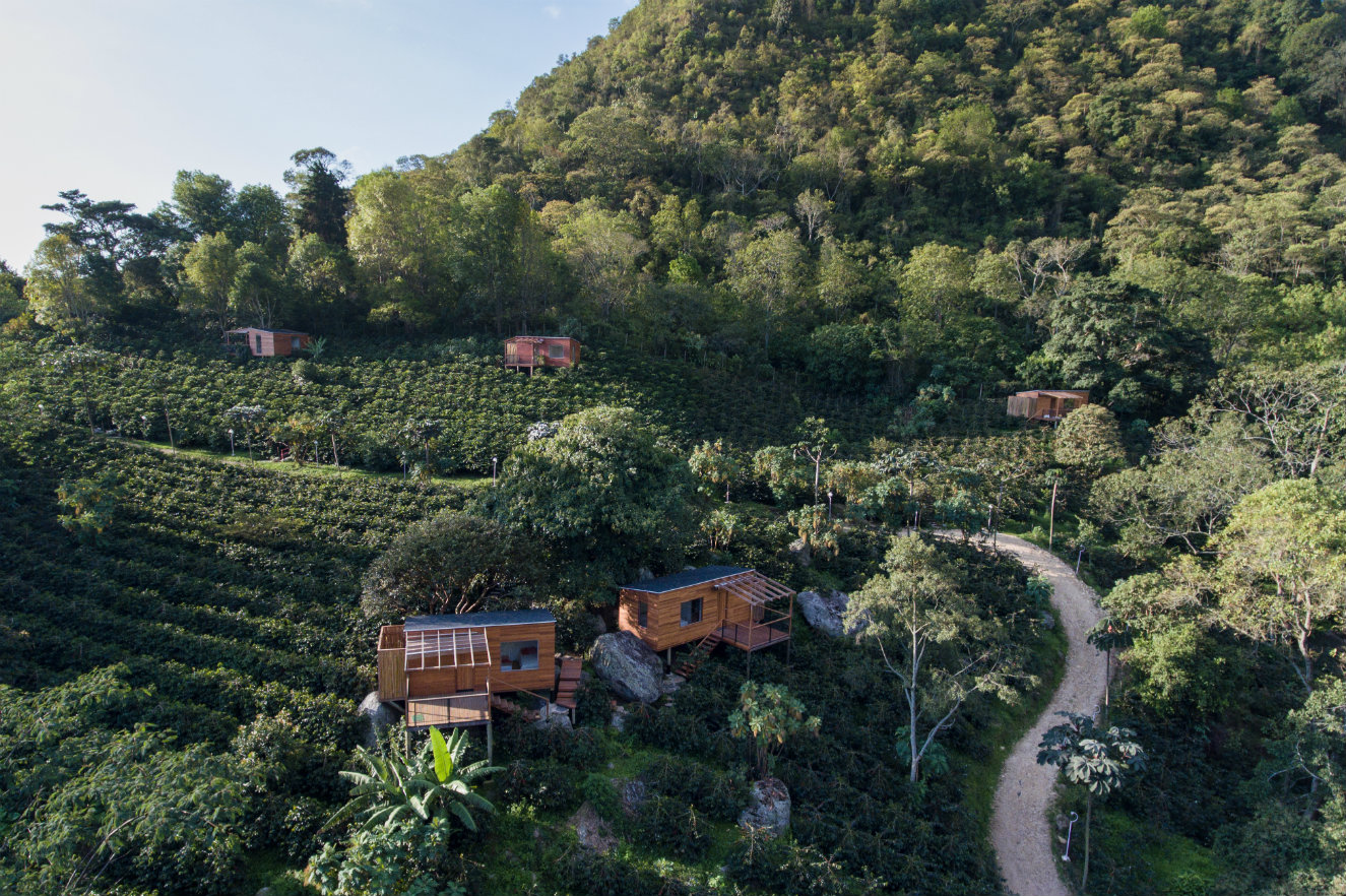 La Palma & El Tucán