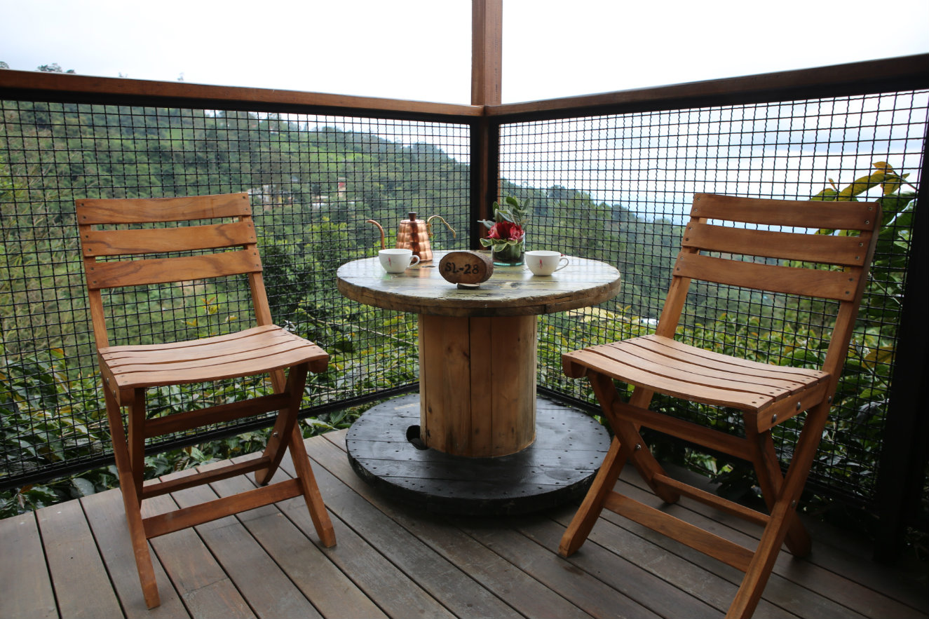 La Palma & El Tucán