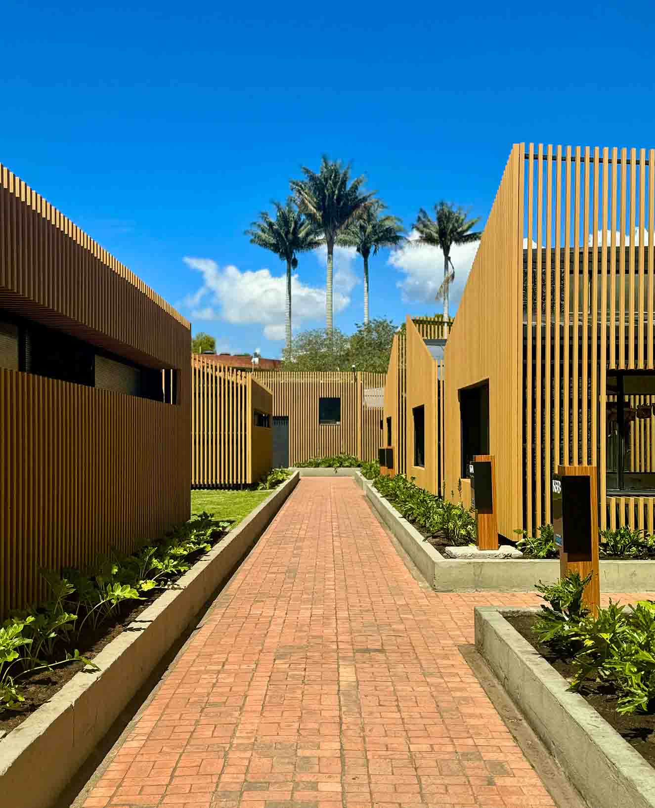 San Miguel Arquitectos propuso acantos y filodendros, plantas nativas verdes, para todas las jardineras que bordean las construcciones. Fotografía: Yvonne Meyer.